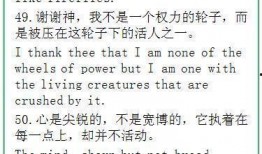 娱乐吃瓜酱经典语录摘抄,揭秘娱乐圈背后的真相与笑料